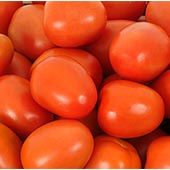 tomatoe-2.jpg